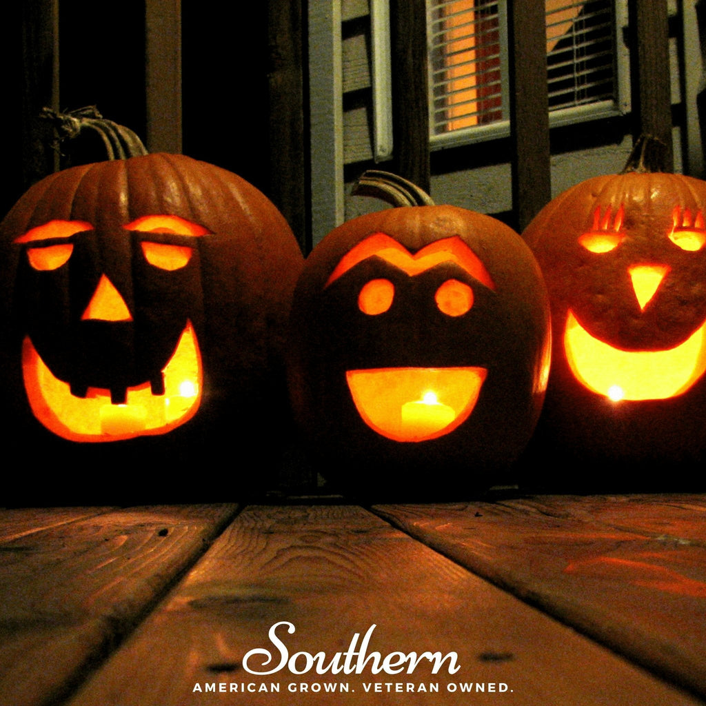 Jack O Lantern Pumpkin – 20 Seeds Southern Seeds
