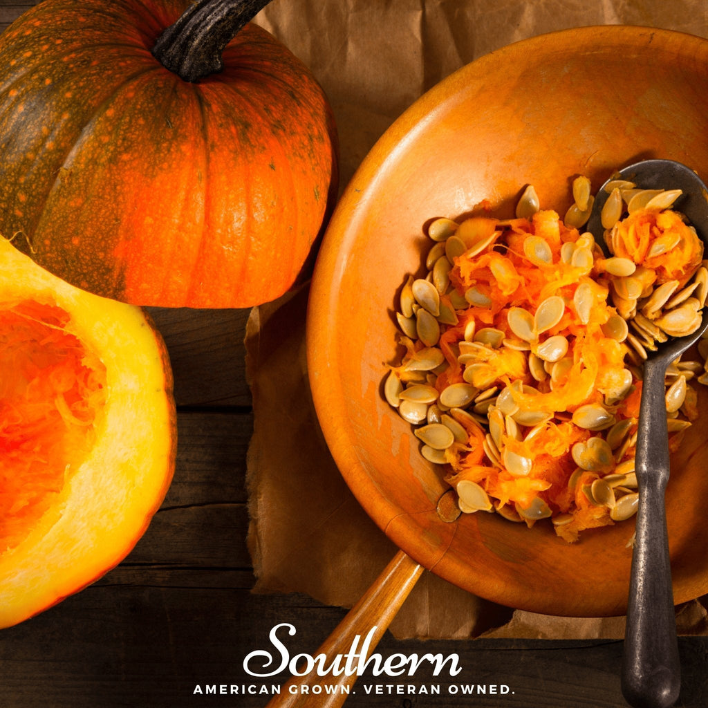 Small Sugar Pumpkin – 15 Seeds Southern Seeds