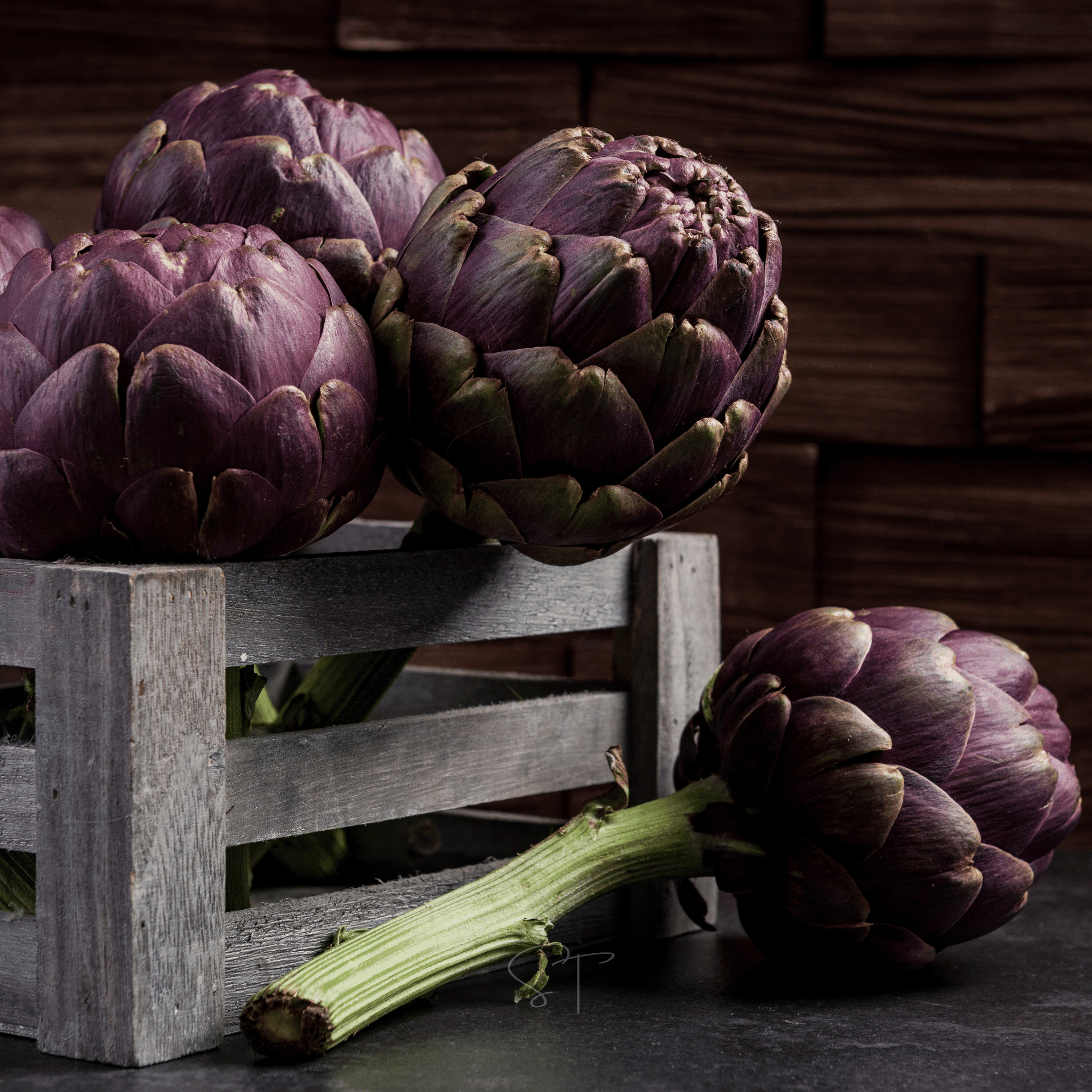 Purple Romagna Artichoke – 25 Seeds Southern Seeds
