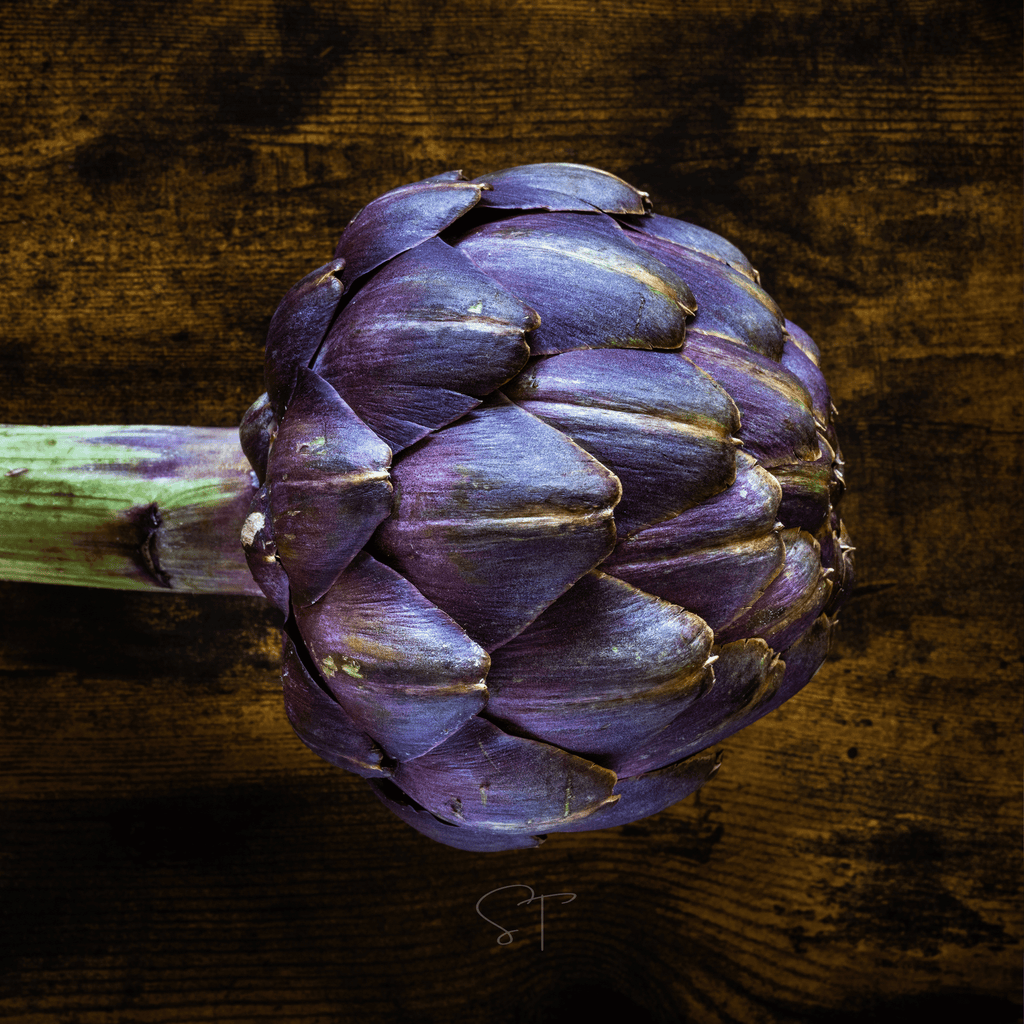 Purple Romagna Artichoke – 25 Seeds Southern Seeds