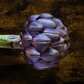 Purple Romagna Artichoke – 25 Seeds Southern Seeds