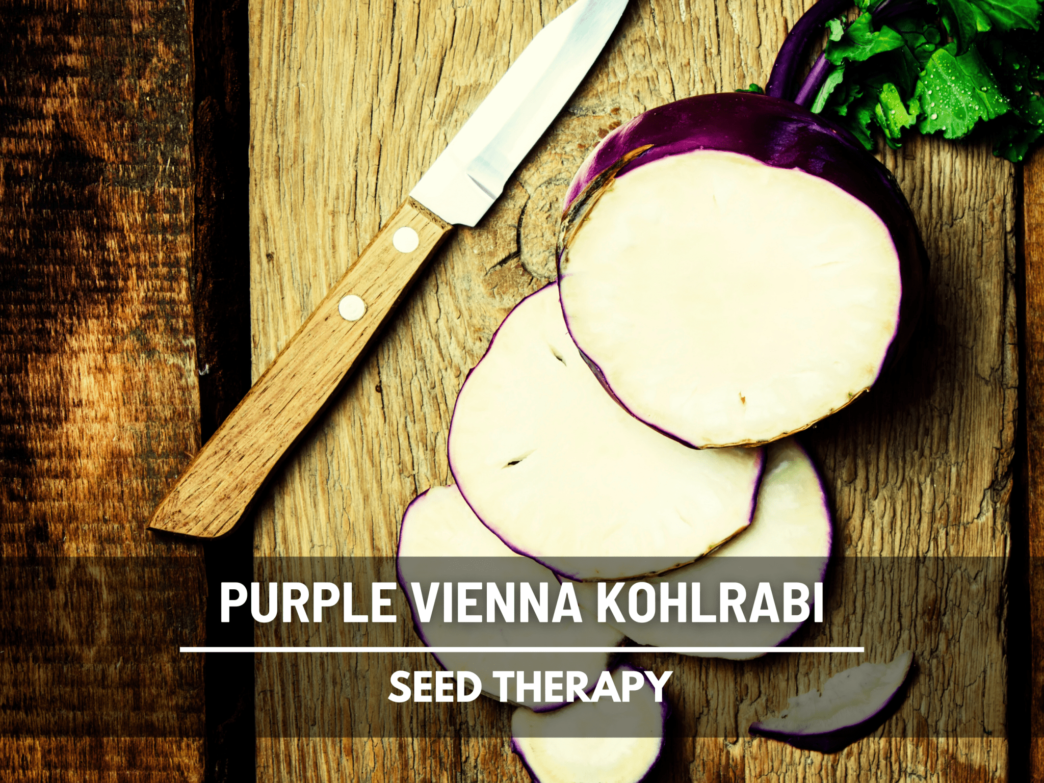 Purple Vienna Kohlrabi – 100 Seeds Southern Seeds