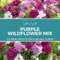 Purple Wildflower Seed Mix – 1,000 Seeds Southern Seeds