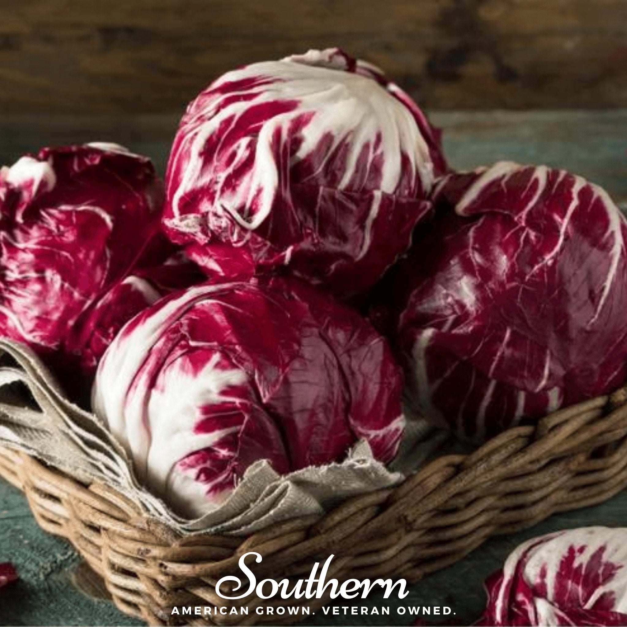 Palla Rossa Radicchio – 100 Seeds Southern Seeds