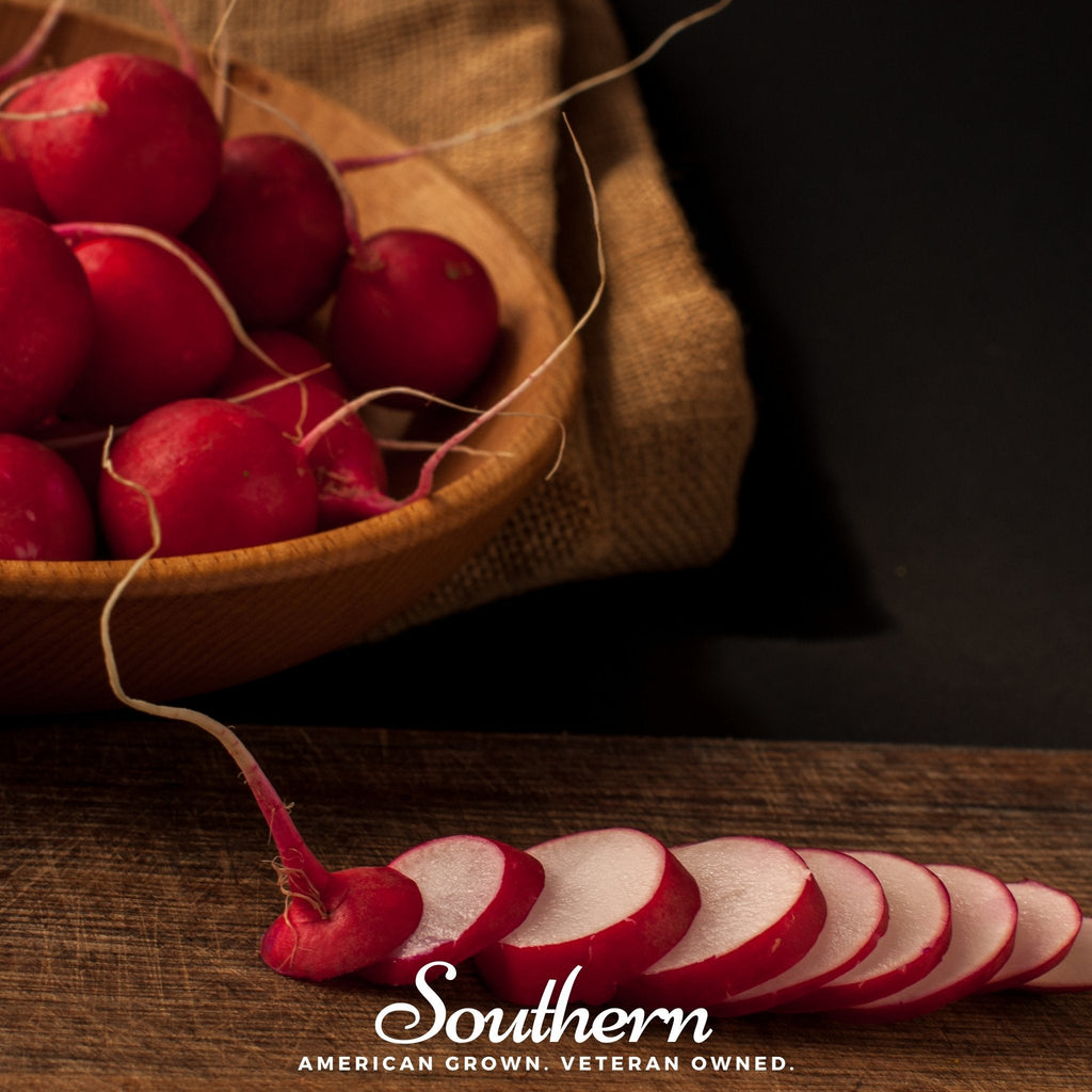 Crimson Giant Radish – 100 Seeds Southern Seeds