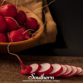 Crimson Giant Radish – 100 Seeds Southern Seeds