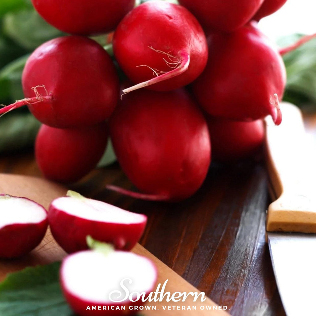 Crimson Giant Radish – 100 Seeds Southern Seeds