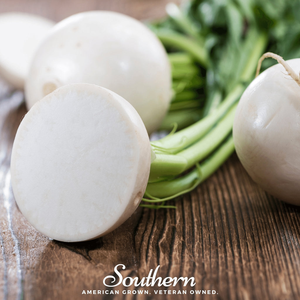 Hailstone Radish – 100 Seeds Southern Seeds
