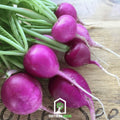 Purple Plum Radish – 250 Seeds Southern Seeds