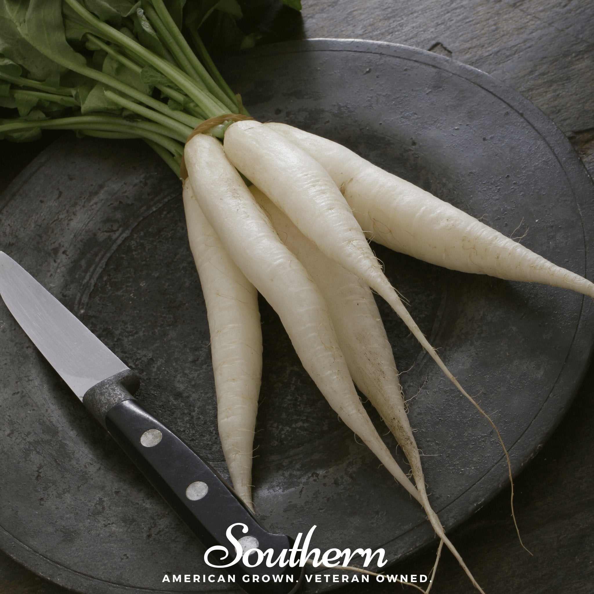 White Icicle Radish – 100 Seeds Southern Seeds