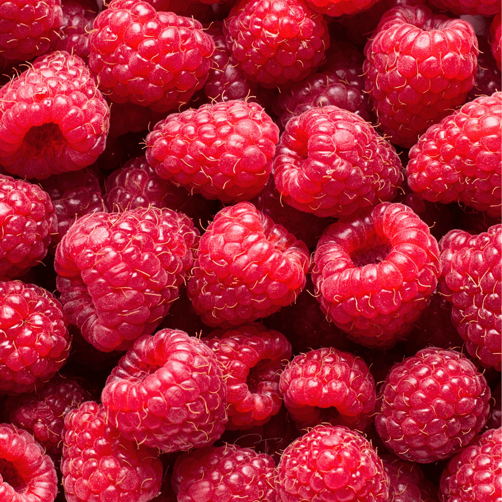 Red European Raspberry – 30 Seeds Southern Seeds