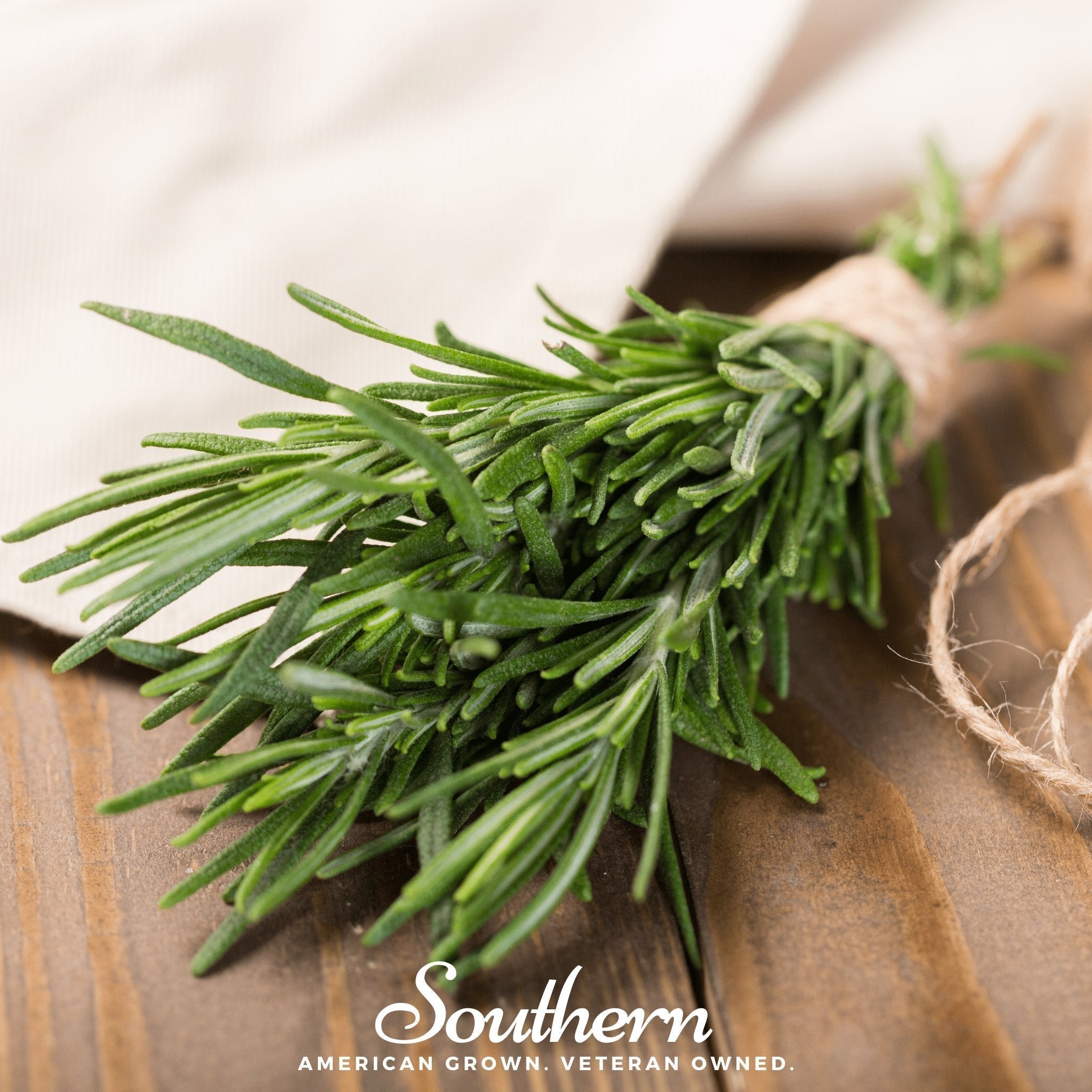 Rosemary – 50 Seeds Southern Seeds