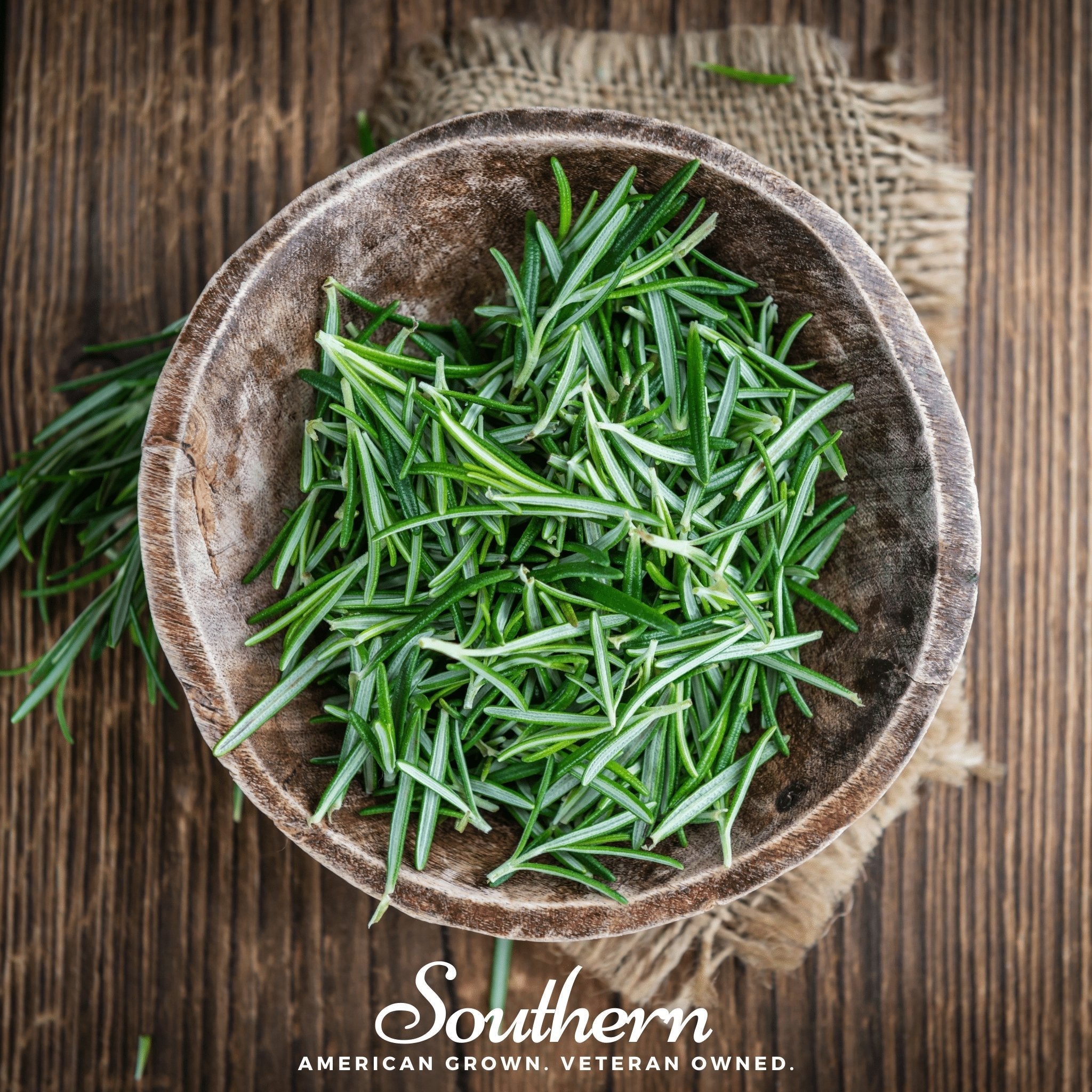 Rosemary – 50 Seeds Southern Seeds