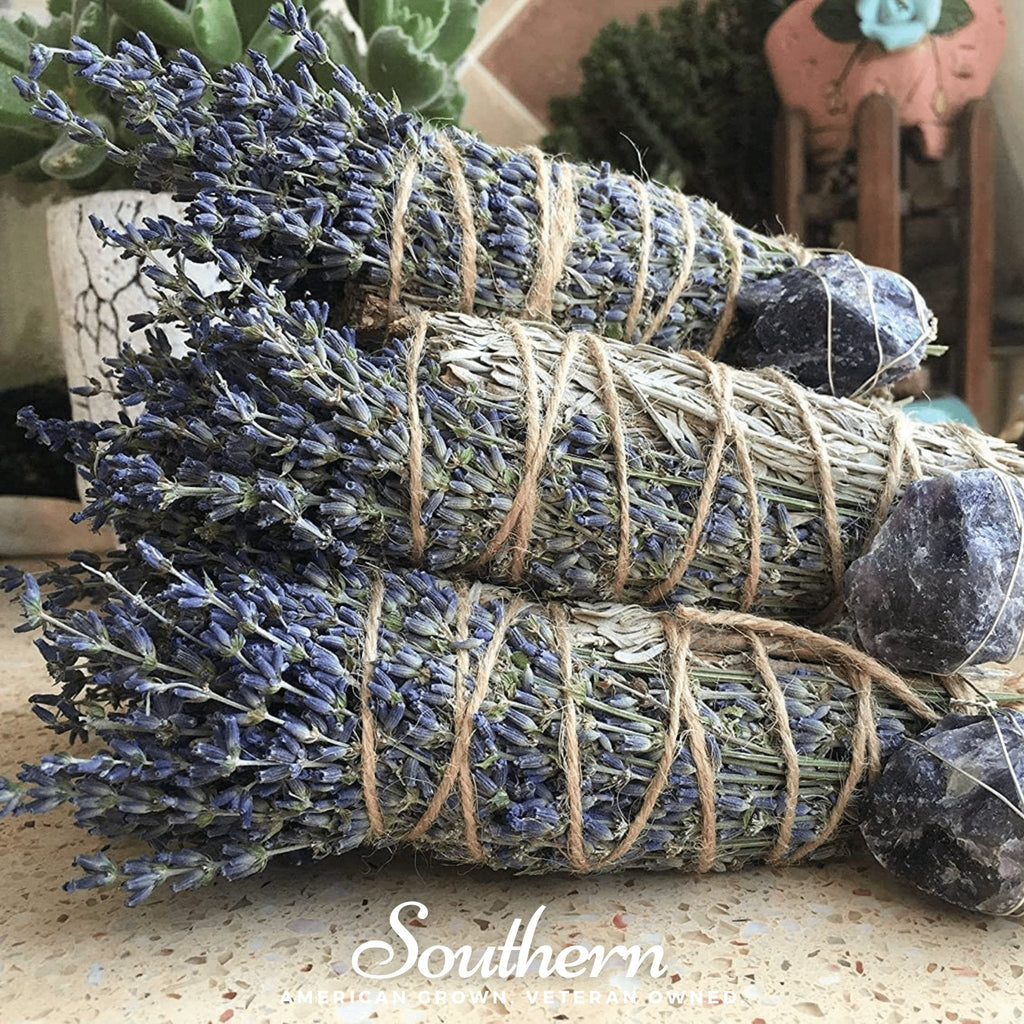 Blue Sage – 100 Seeds Southern Seeds