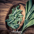 Extrakta Sage – 30 Seeds Southern Seeds