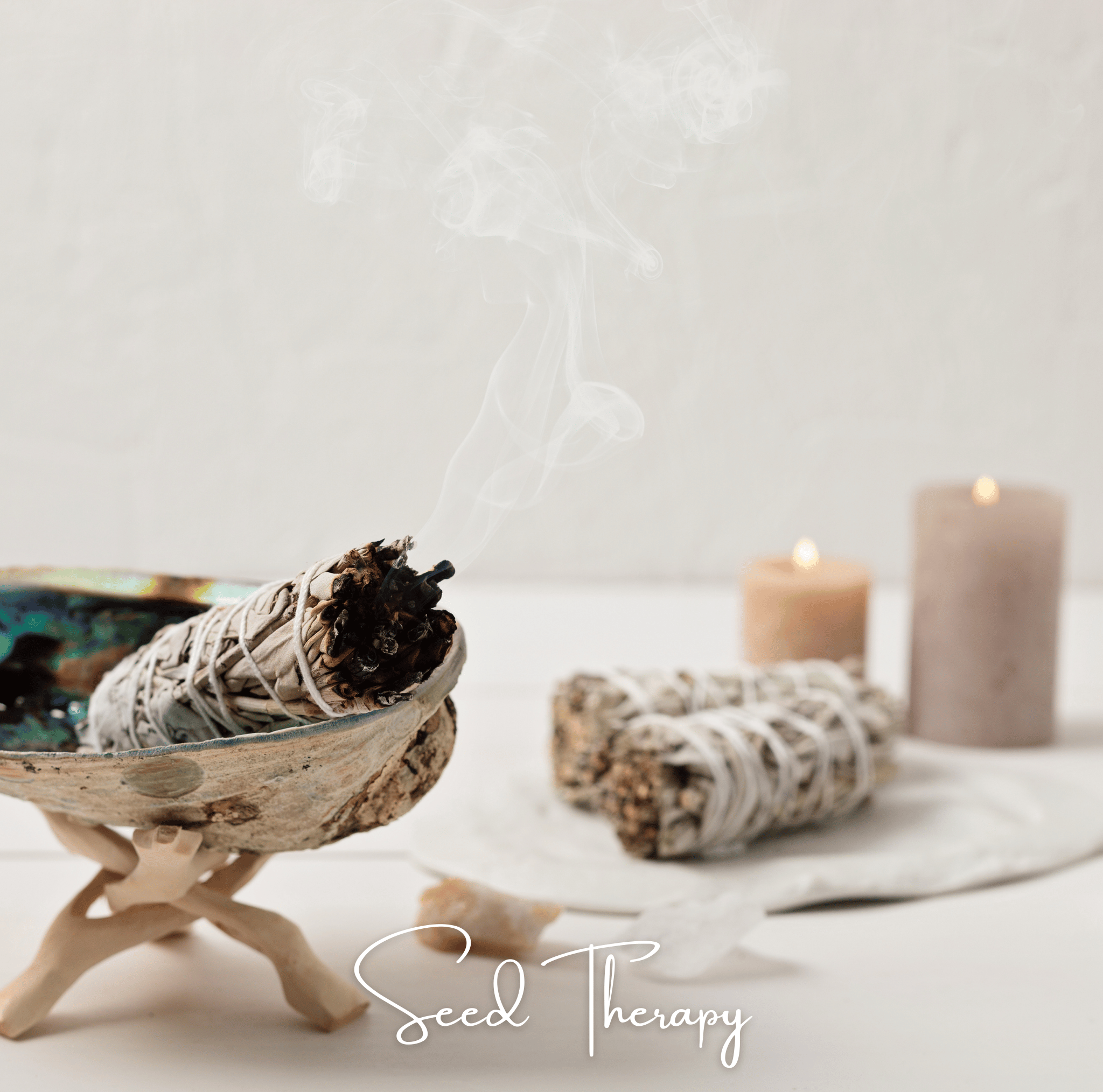 White Sage – 50 Seeds Southern Seeds