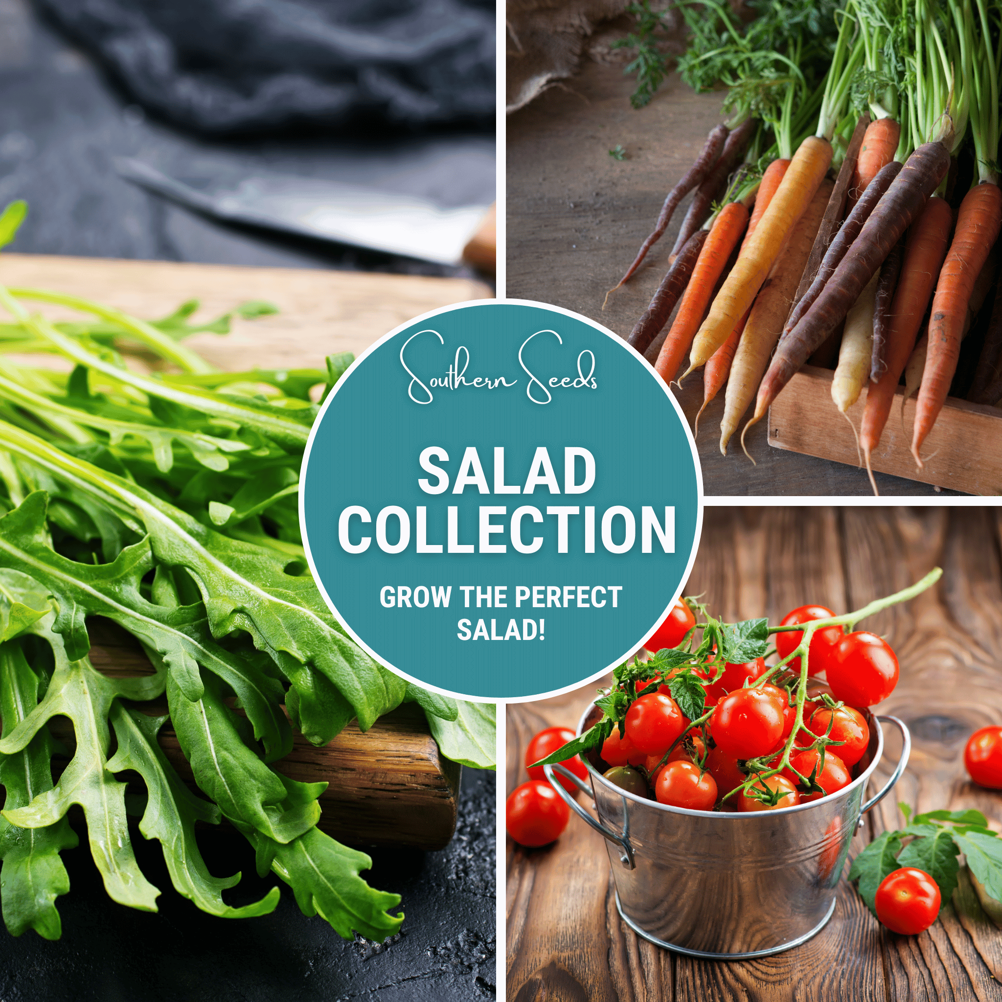 Salad Seed Collection – 6 Varieties Southern Seeds