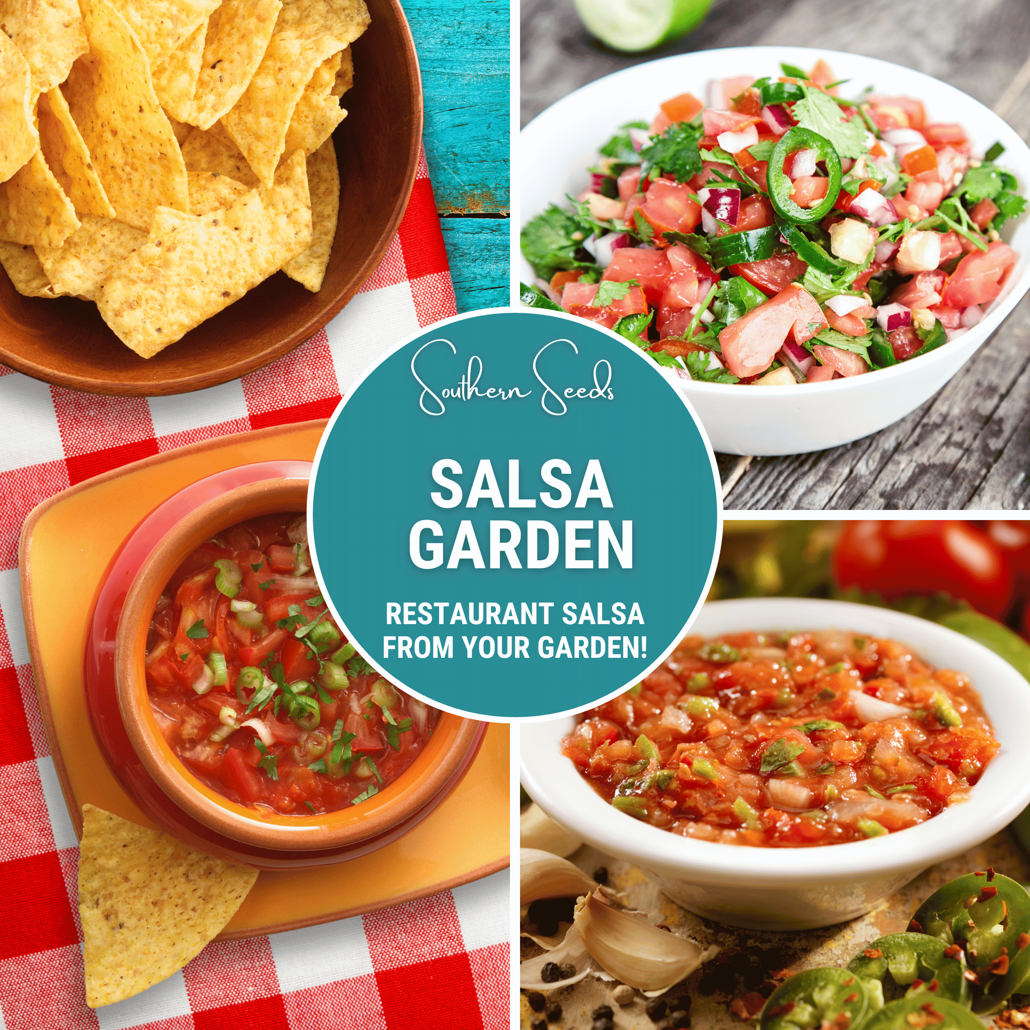 Salsa Seed Collection – Restaurant Style – 10 Amazing Varieties Southern Seeds