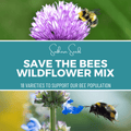 Save the Bees Wildflower Seed Mix (18 Varieties) – 1,000 Seeds Southern Seeds