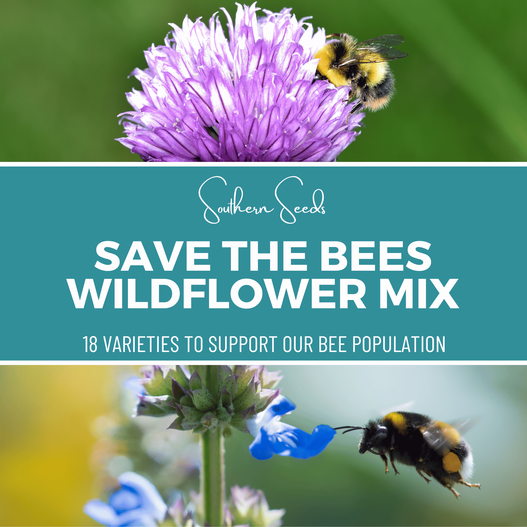 Save the Bees Wildflower Seed Mix (18 Varieties) – 1,000 Seeds Southern Seeds