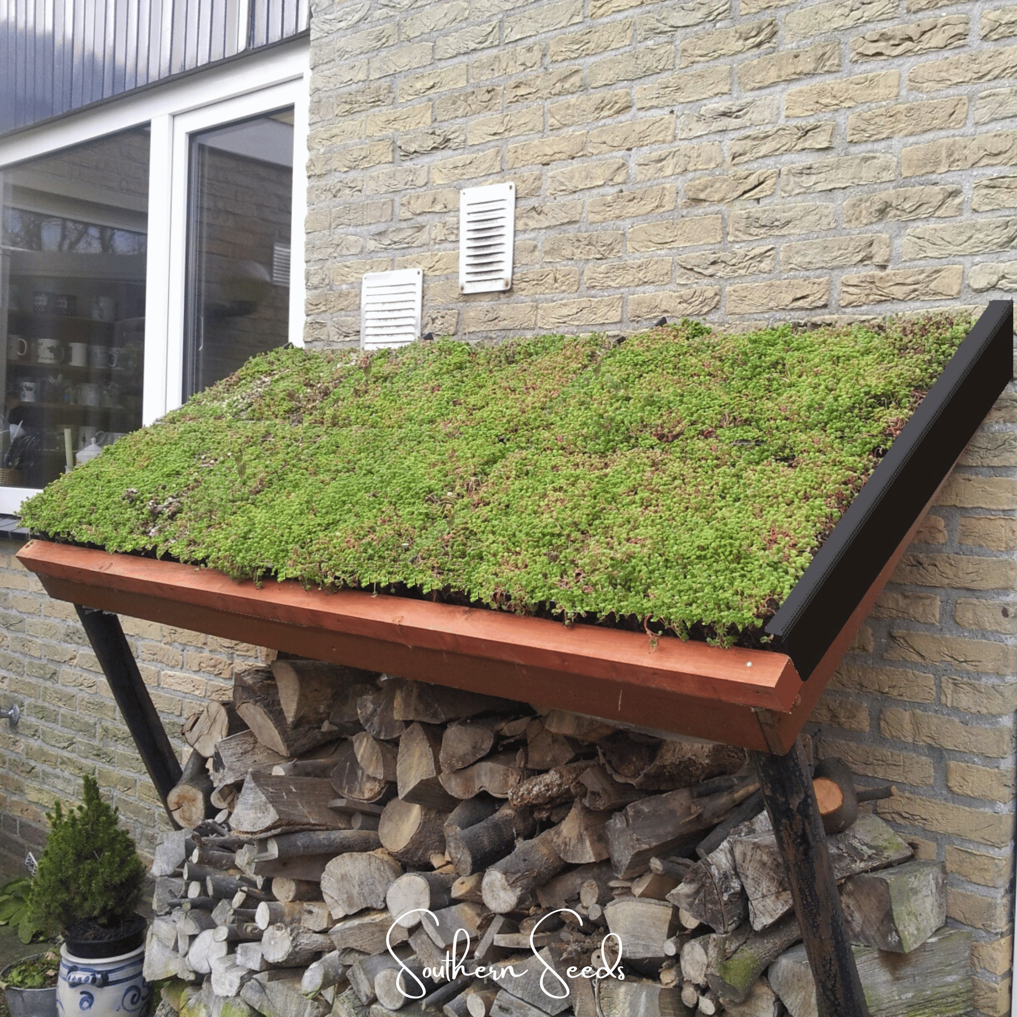 Sedum Roof Mix – 500 Seeds Southern Seeds