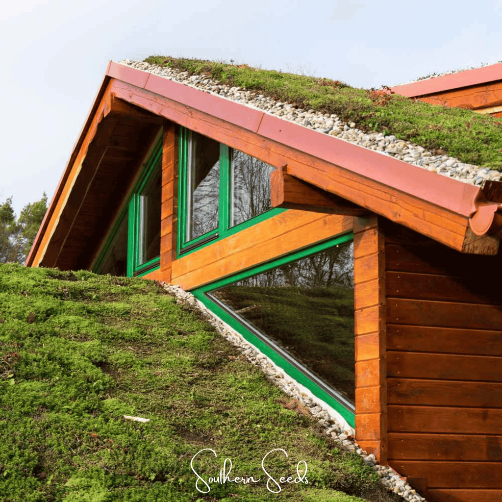 Sedum Roof Mix – 500 Seeds Southern Seeds