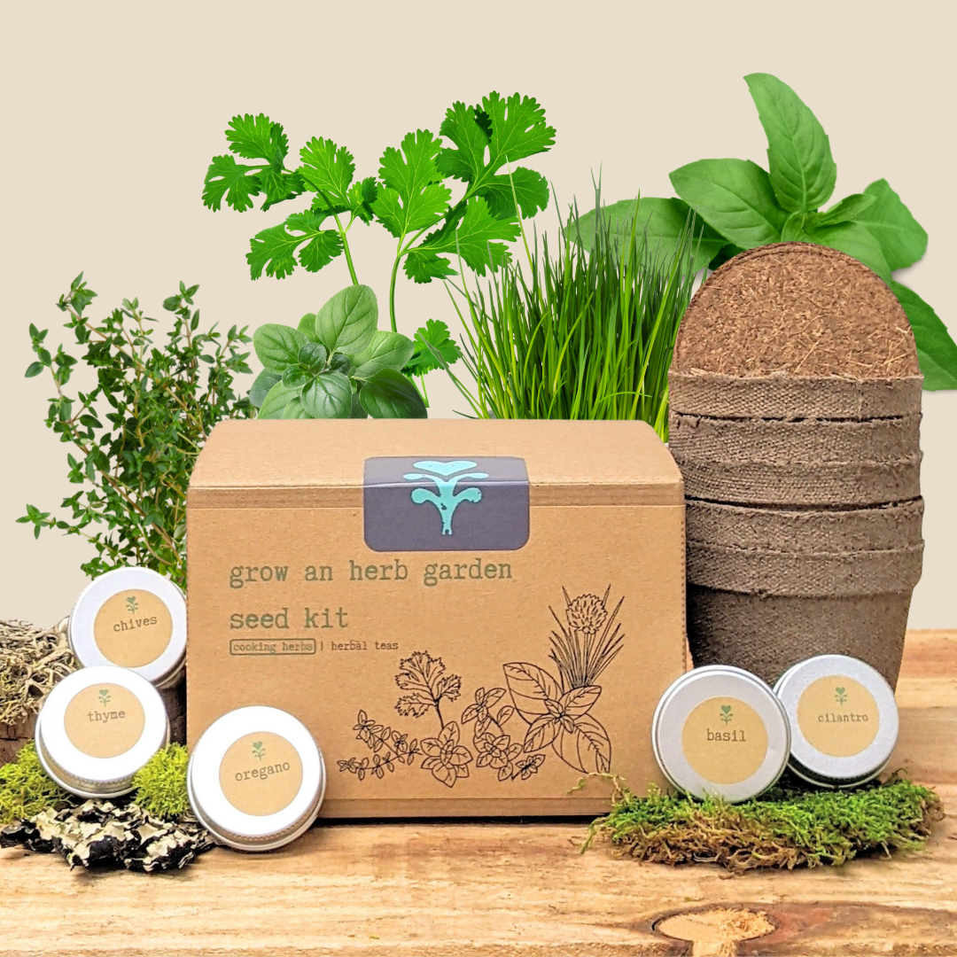 "Grow an Herb Garden" Cooking Herbs Seed Kit Plantflix