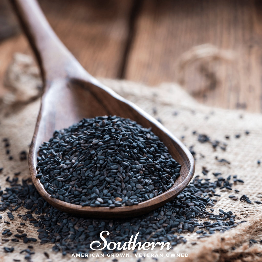 Black Sesame – 100 Seeds Southern Seeds