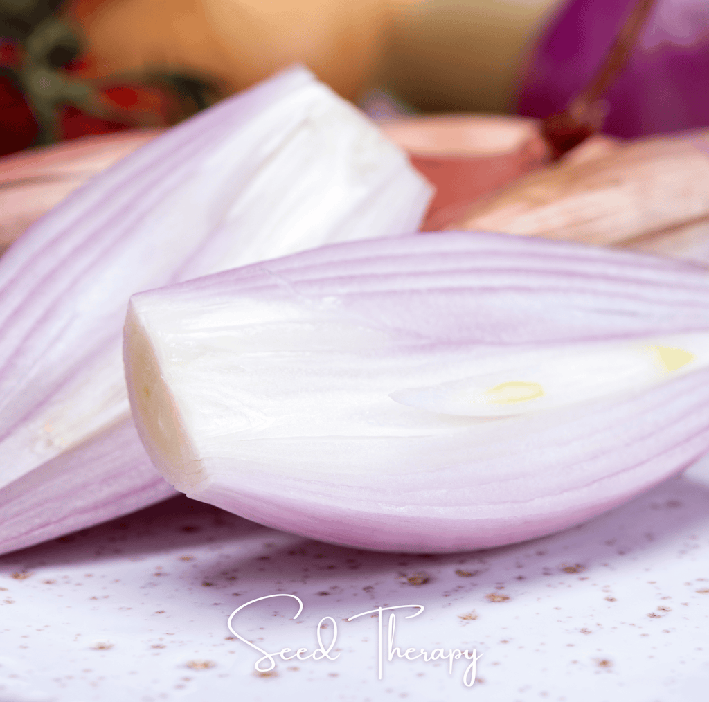 Zebrune Shallot – 25 Seeds Southern Seeds