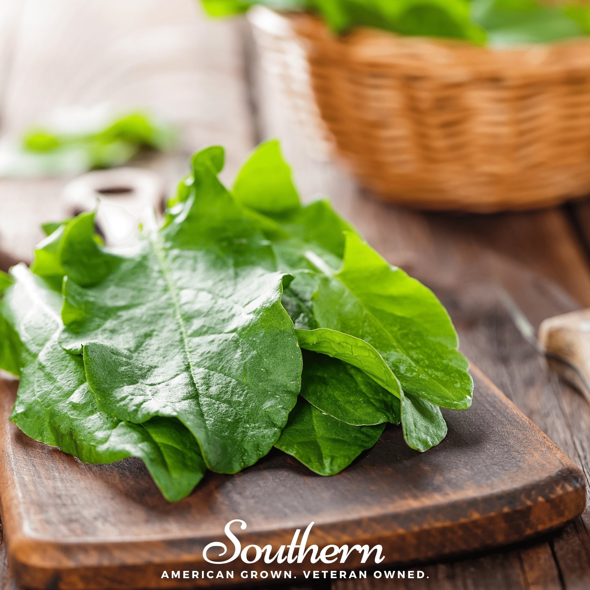 Garden Sorrel – 200 Seeds Southern Seeds