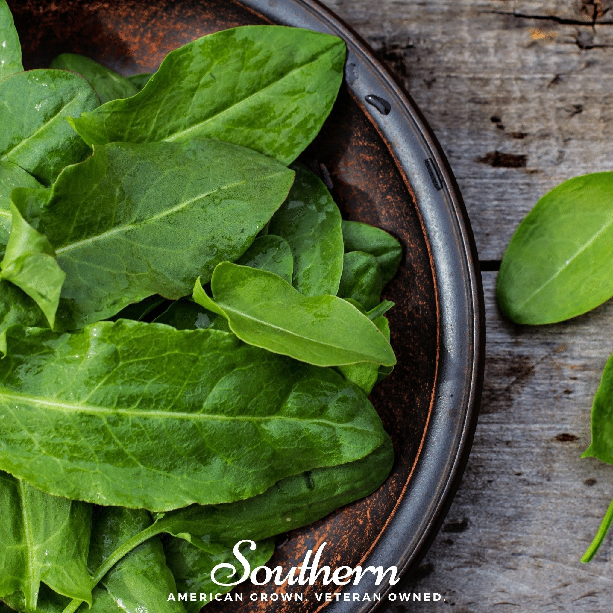 Garden Sorrel – 200 Seeds Southern Seeds