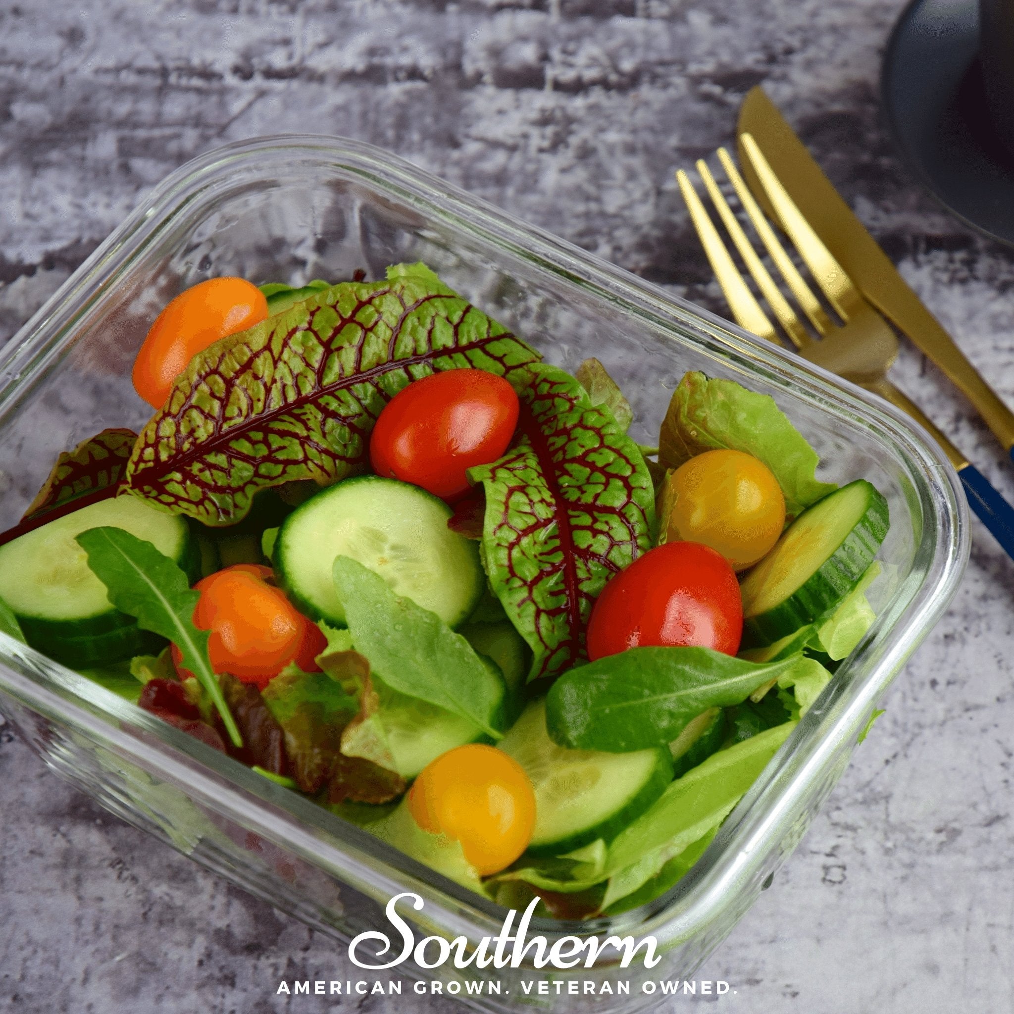 Red Veined Sorrel – 200 Seeds Southern Seeds