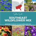 Southeast Wildflower Seed Mix (24 Varieties) – 1,000 Seeds Southern Seeds