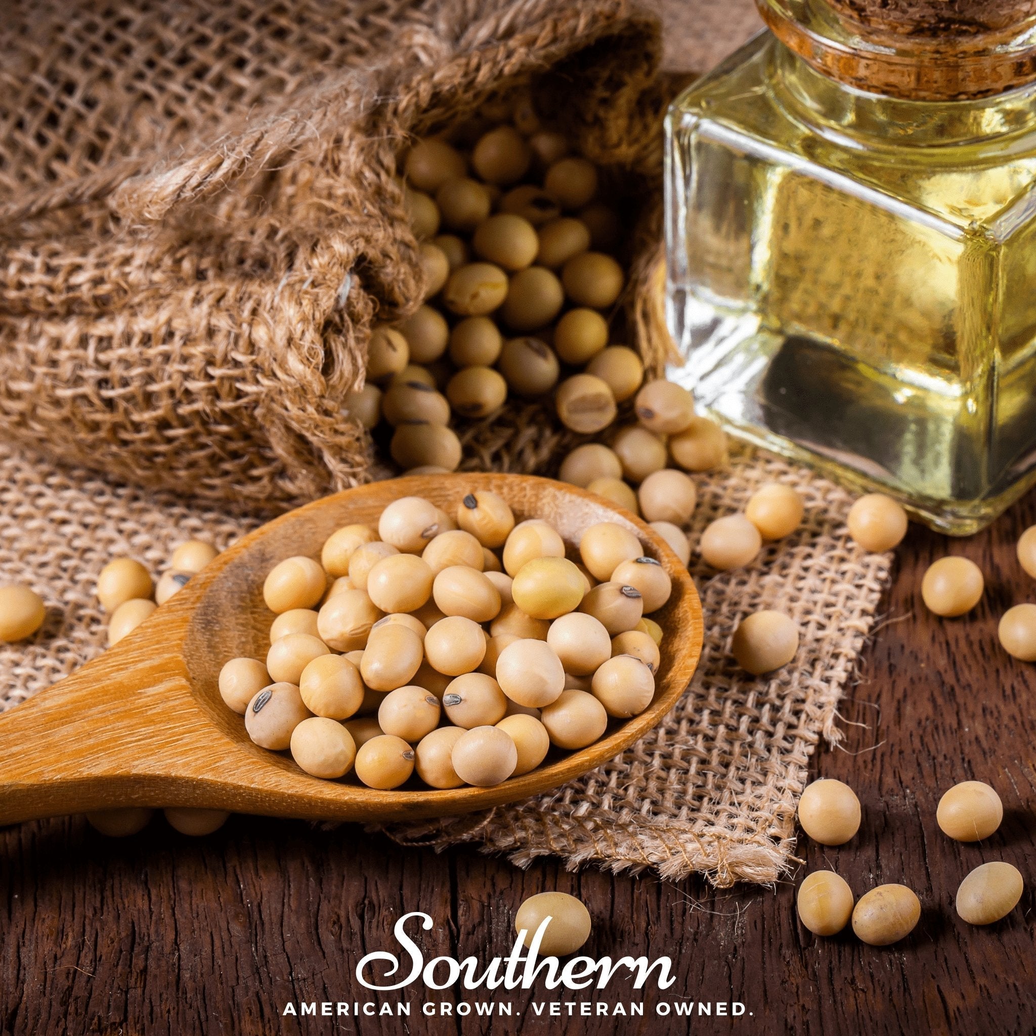 Tohya Soybean – 50 Seeds Southern Seeds