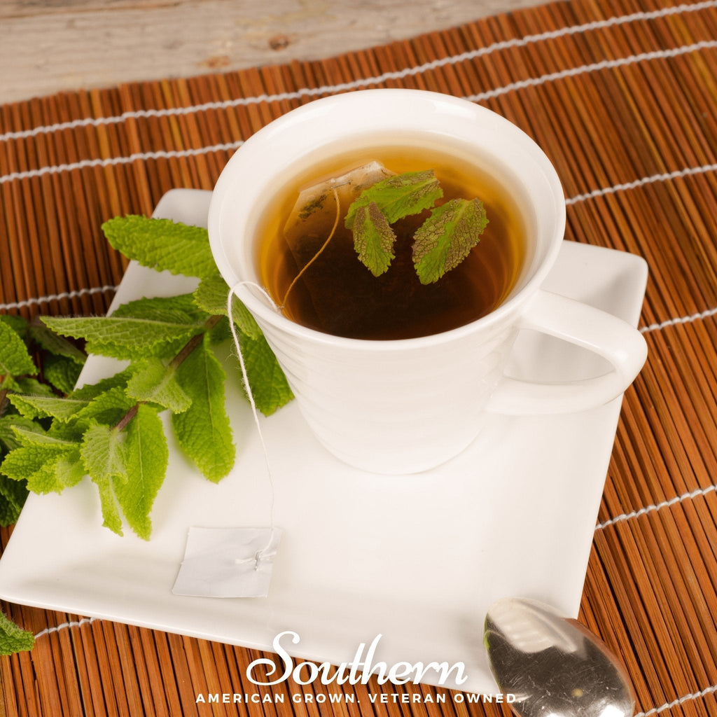 Spearmint – 200 Seeds Southern Seeds