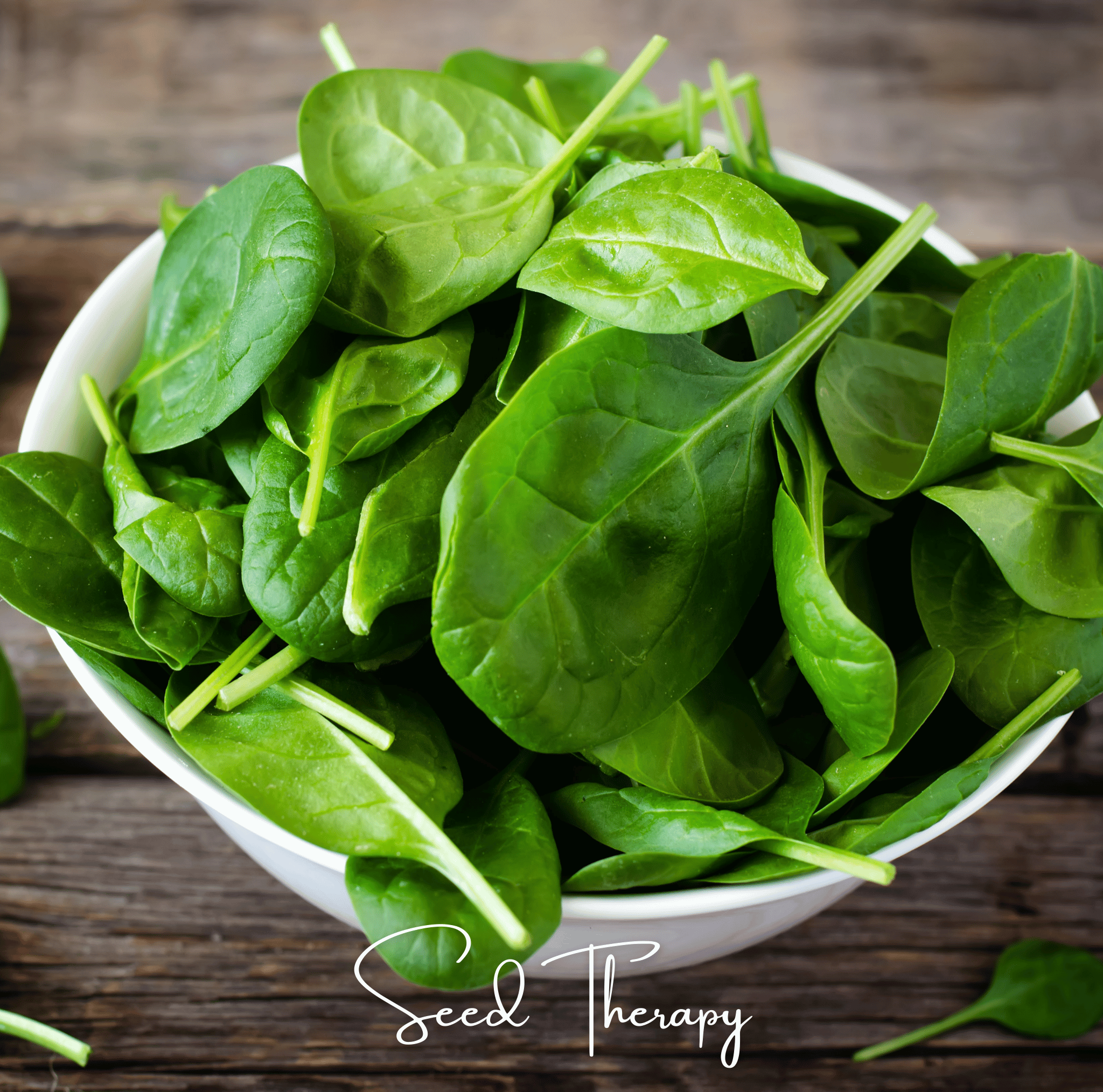 Bloomsdale Spinach – 150 Seeds Southern Seeds