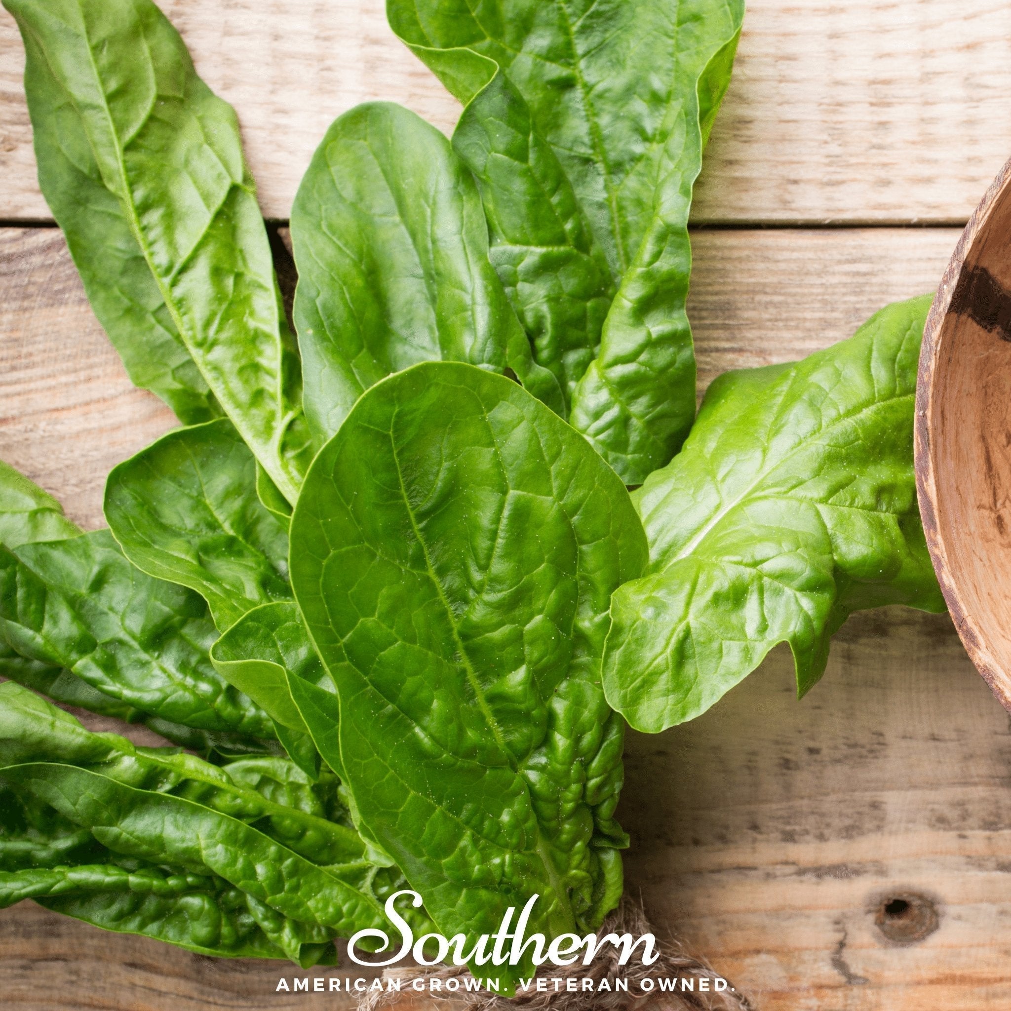 Giant Noble Spinach – 150 Seeds Southern Seeds