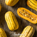 Delicata Squash – 20 Seeds Southern Seeds