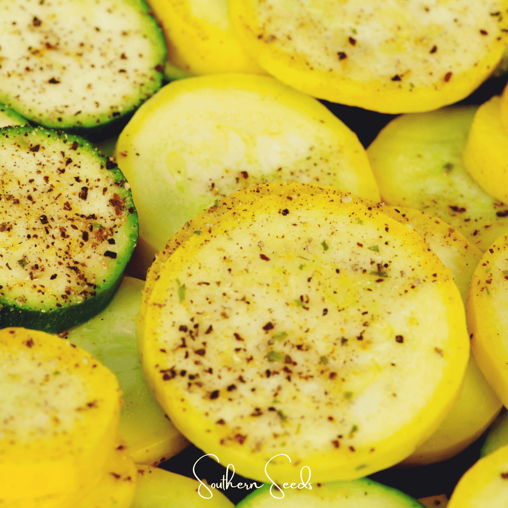 Early Prolific Straightneck Squash – 25 Seeds Southern Seeds