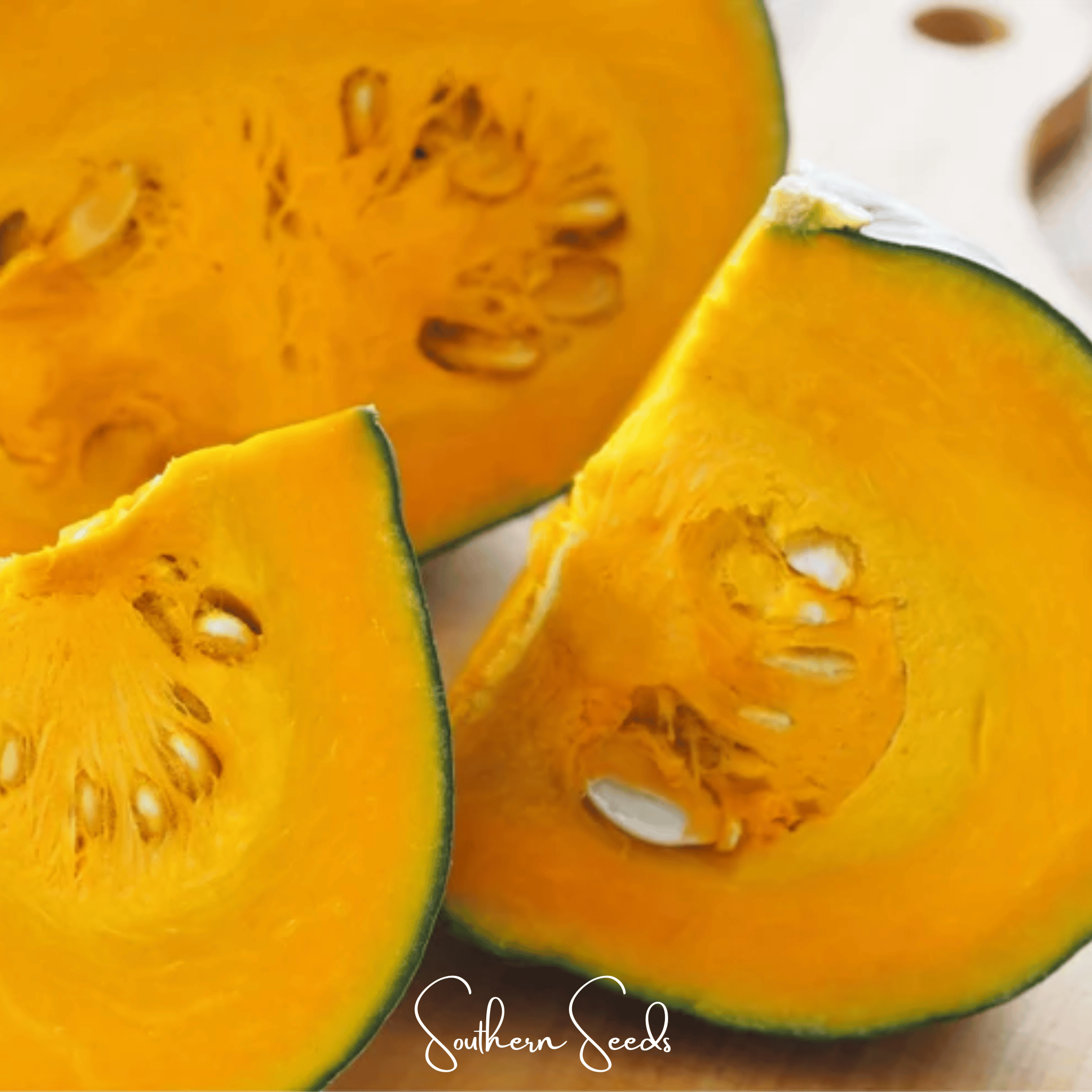 Black Forest Kabocha Squash – 10 Seeds Southern Seeds