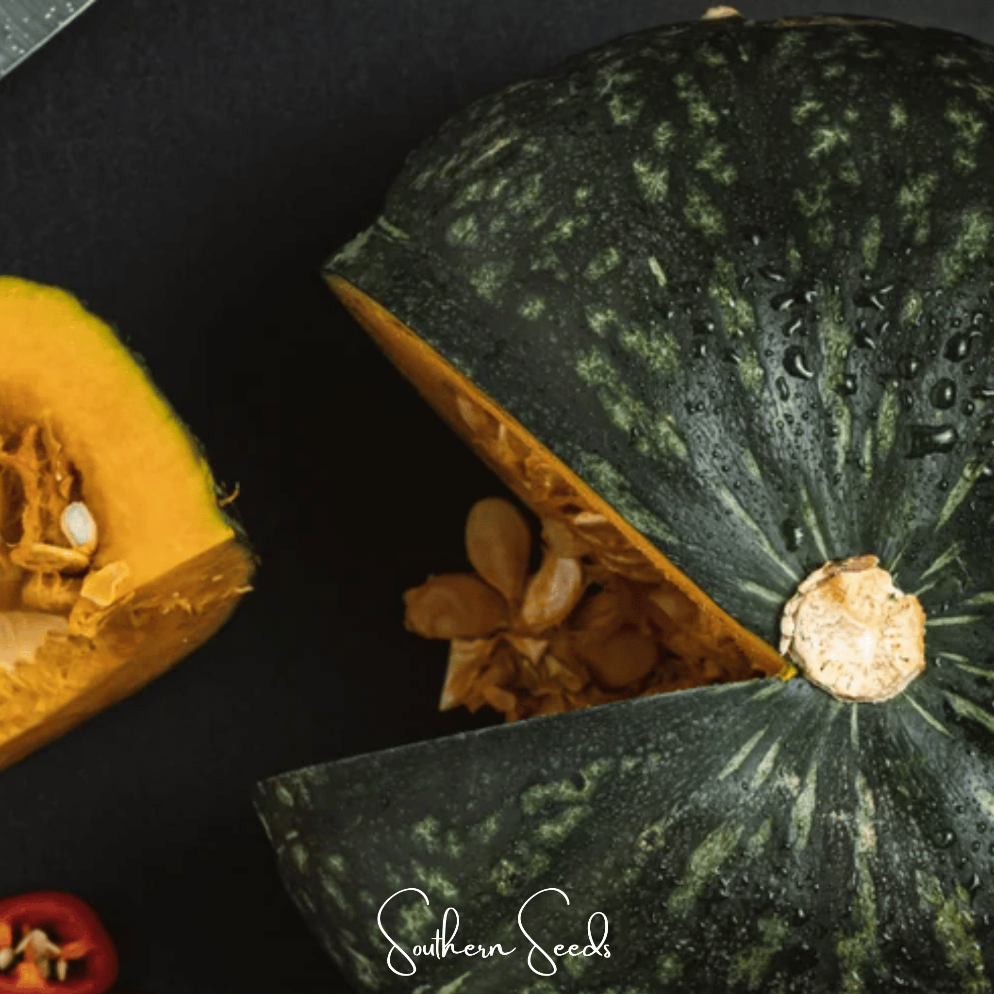 Black Forest Kabocha Squash – 10 Seeds Southern Seeds