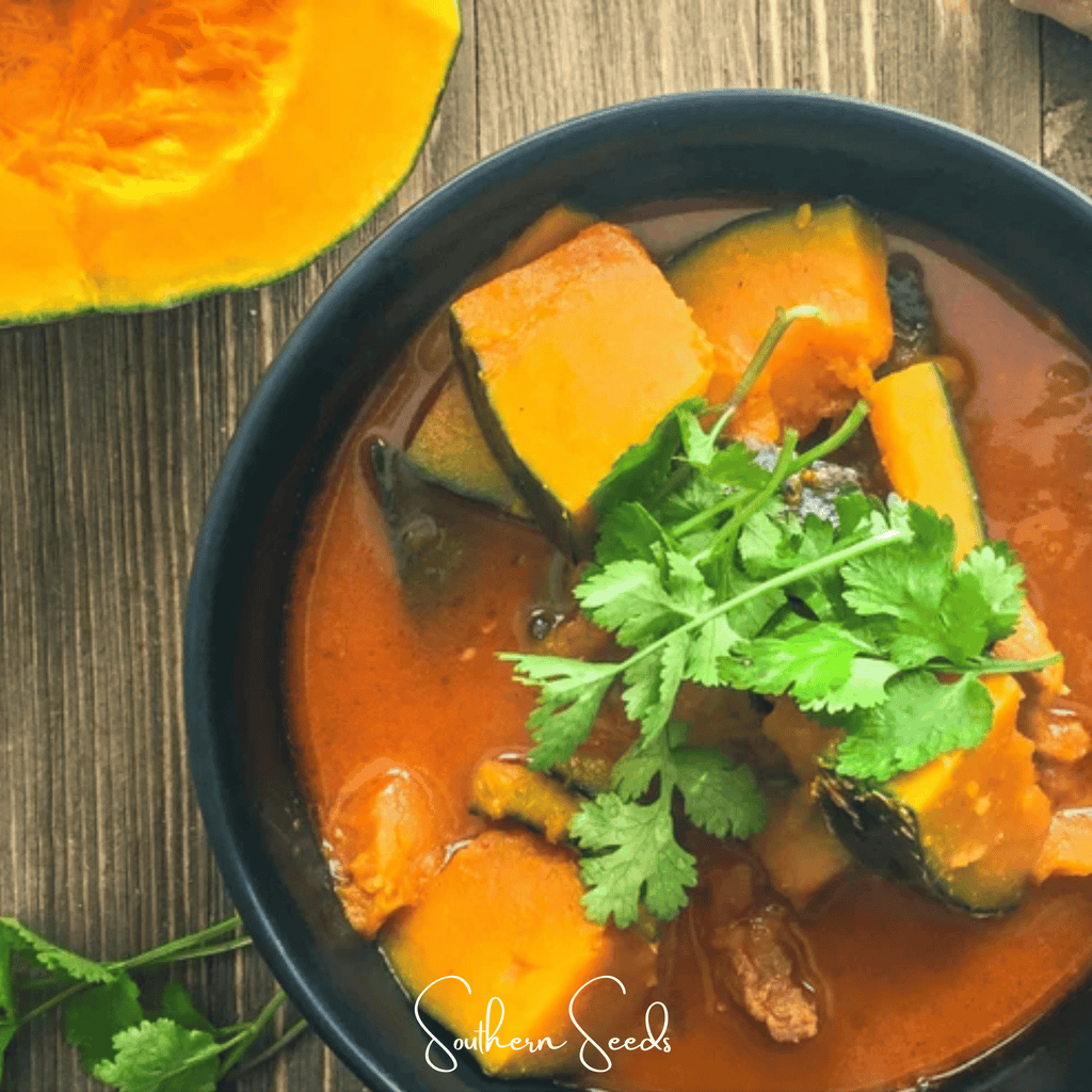 Black Forest Kabocha Squash – 10 Seeds Southern Seeds