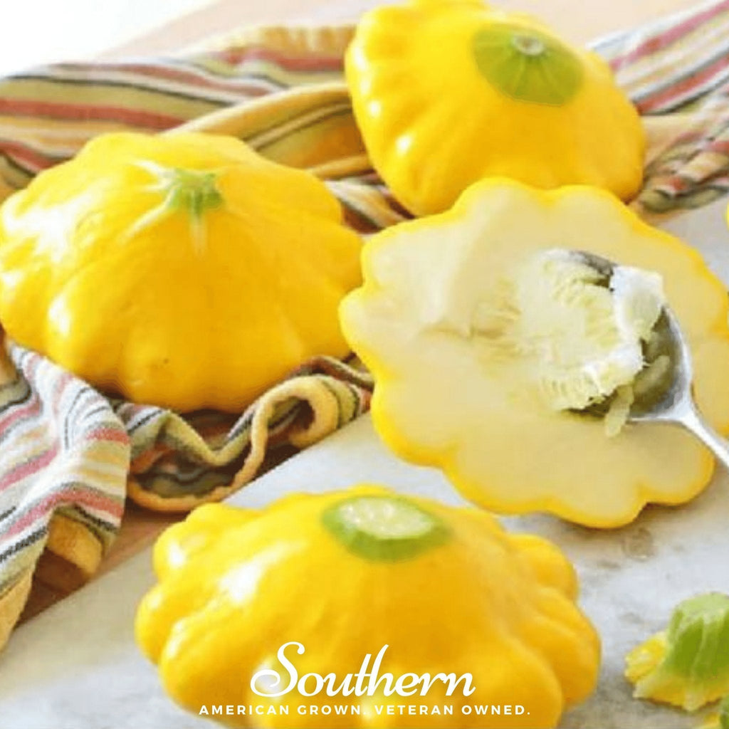 Scallop Yellow Bush Summer Squash – 25 Seeds Southern Seeds