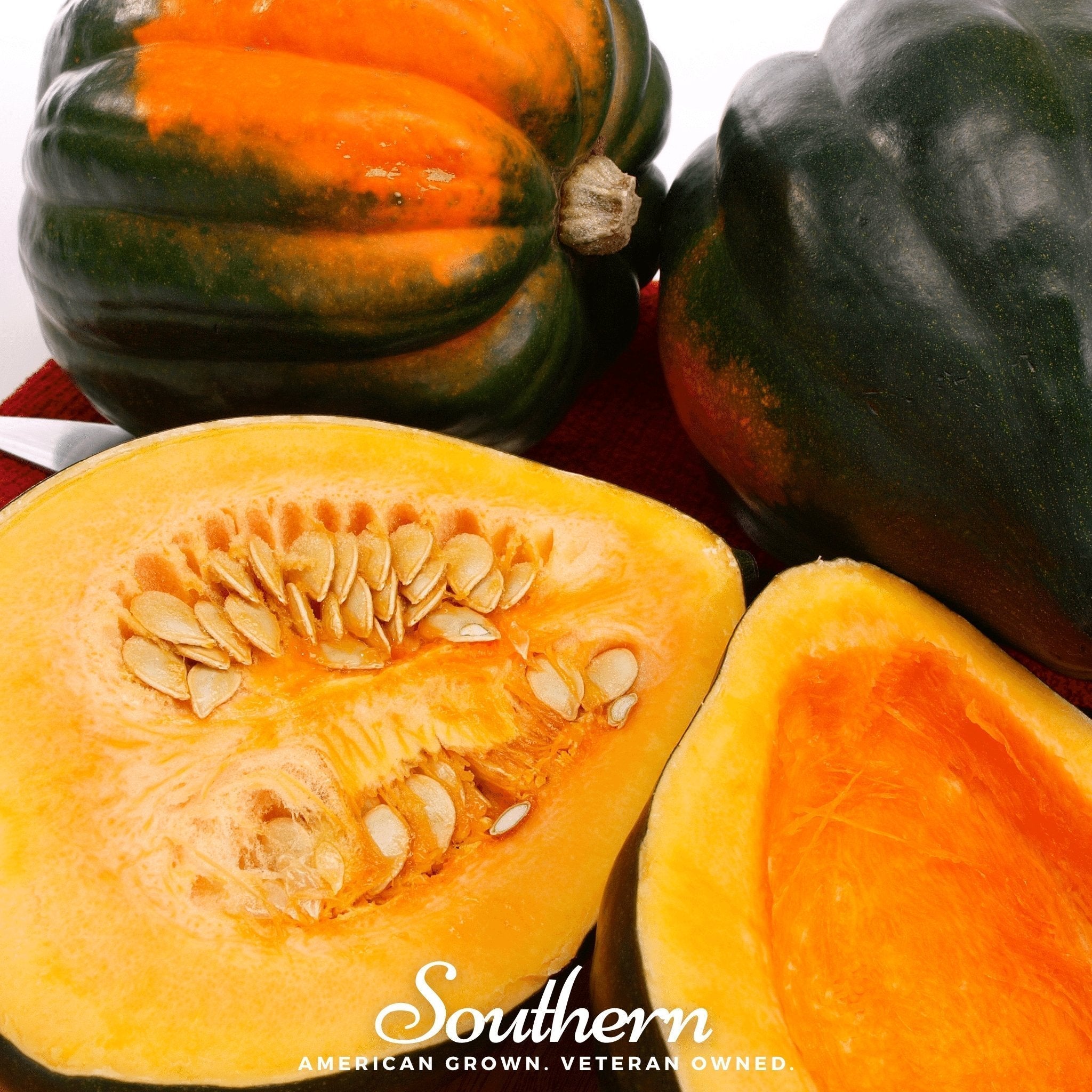 Table Queen Acorn Winter Squash – 25 Seeds Southern Seeds