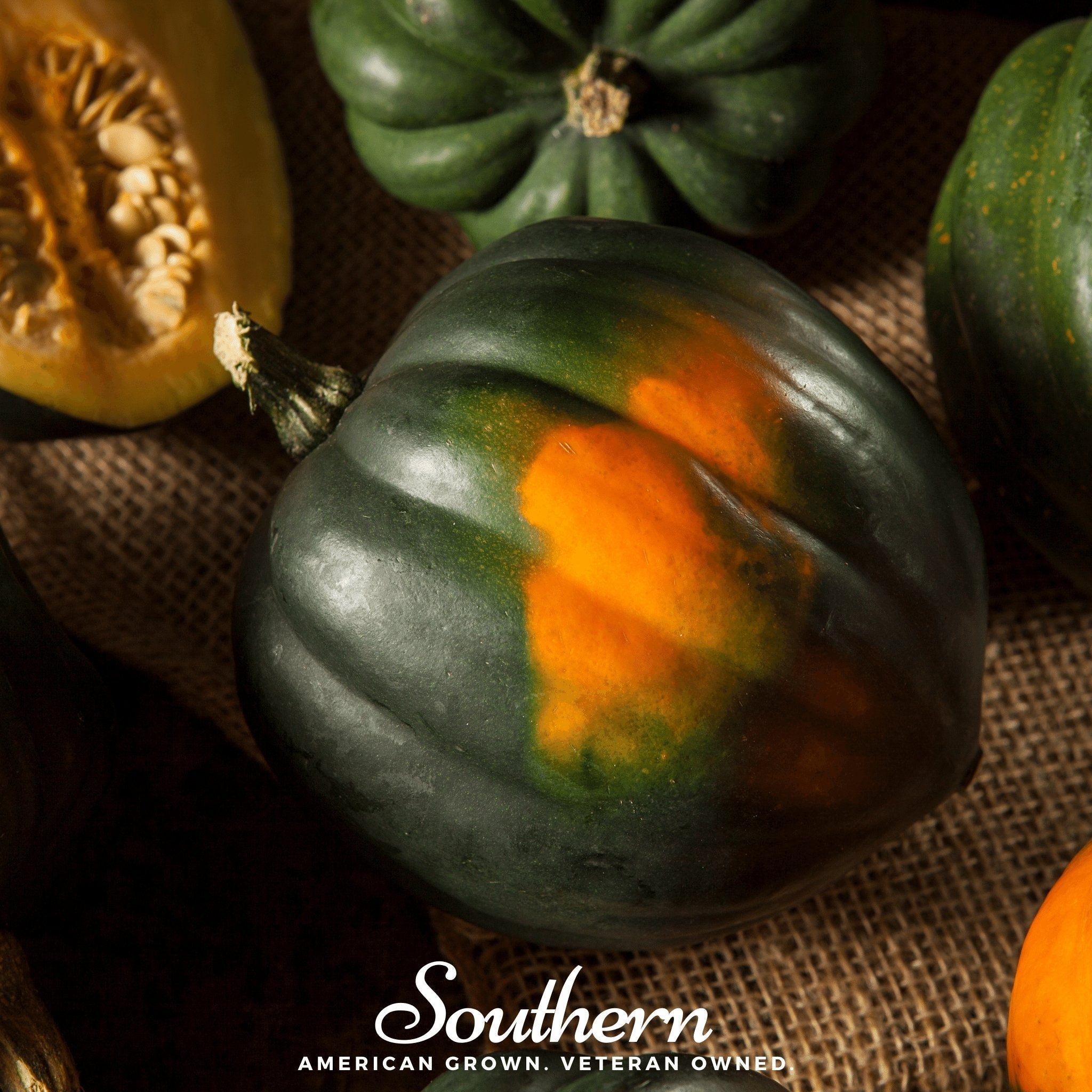 Table Queen Acorn Winter Squash – 25 Seeds Southern Seeds