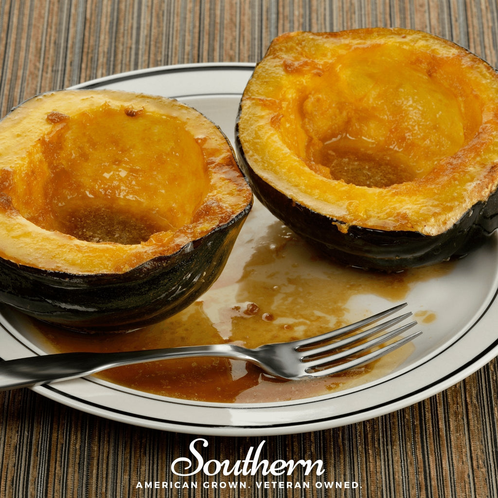 Table Queen Acorn Winter Squash – 25 Seeds Southern Seeds