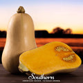 Waltham Butternut Winter Squash – 25 Seeds Southern Seeds