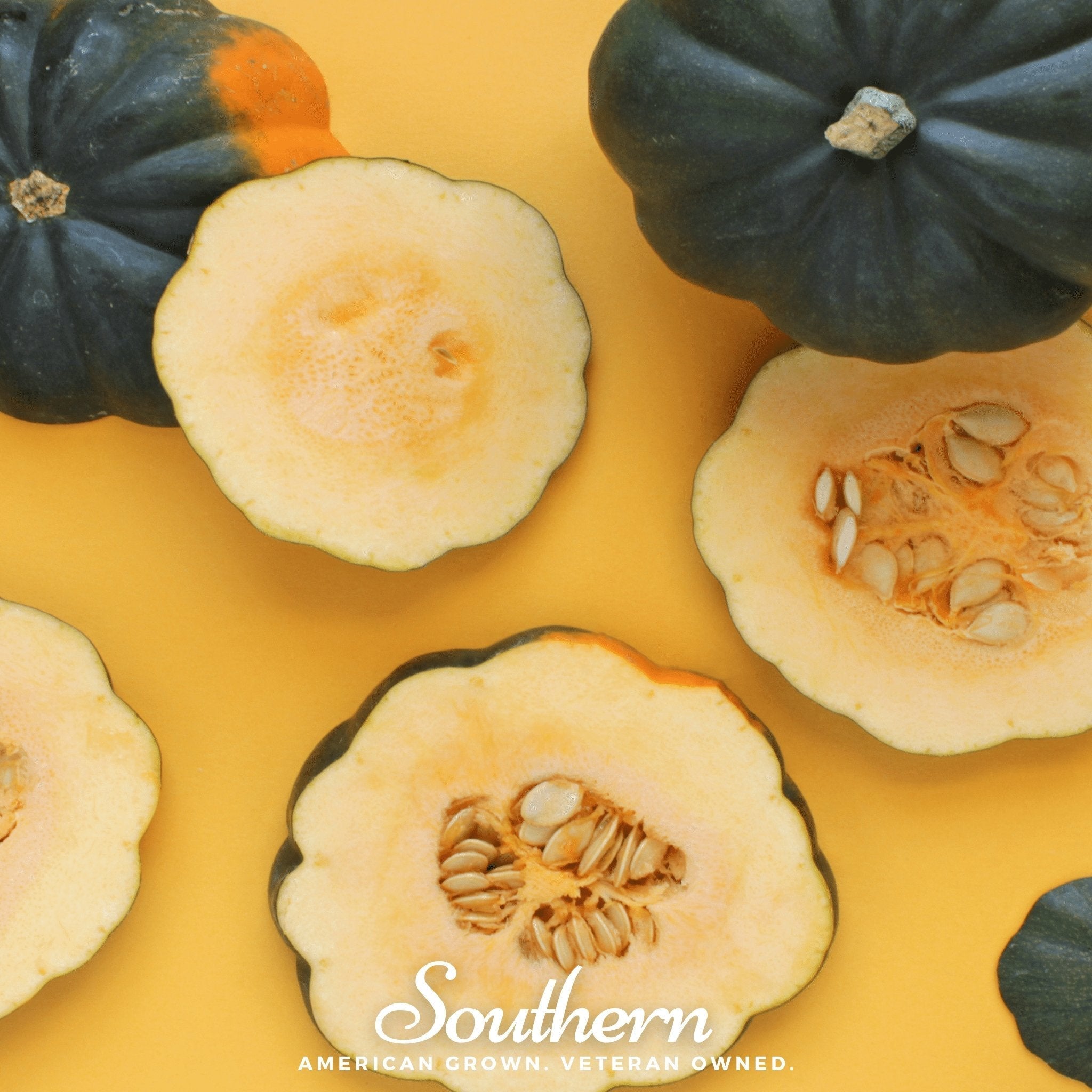 Table King Acorn Winter Squash – 20 Seeds Southern Seeds