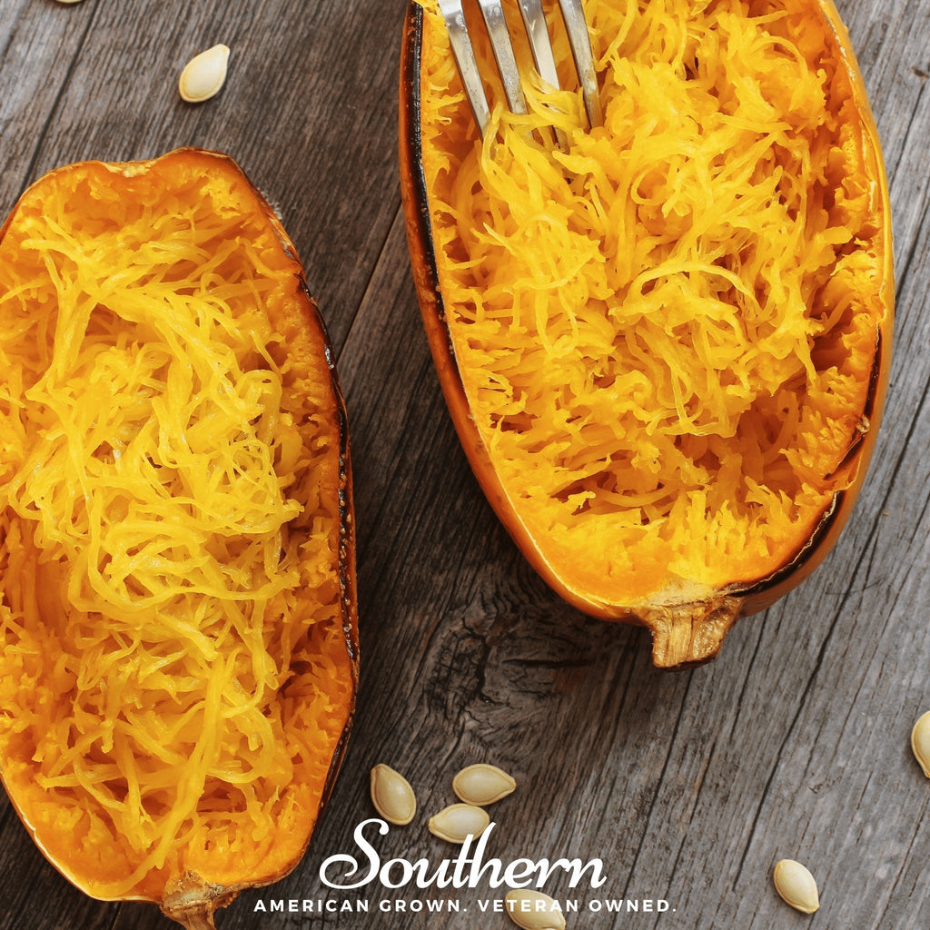 Spaghetti Winter Squash – 20 Seeds Southern Seeds