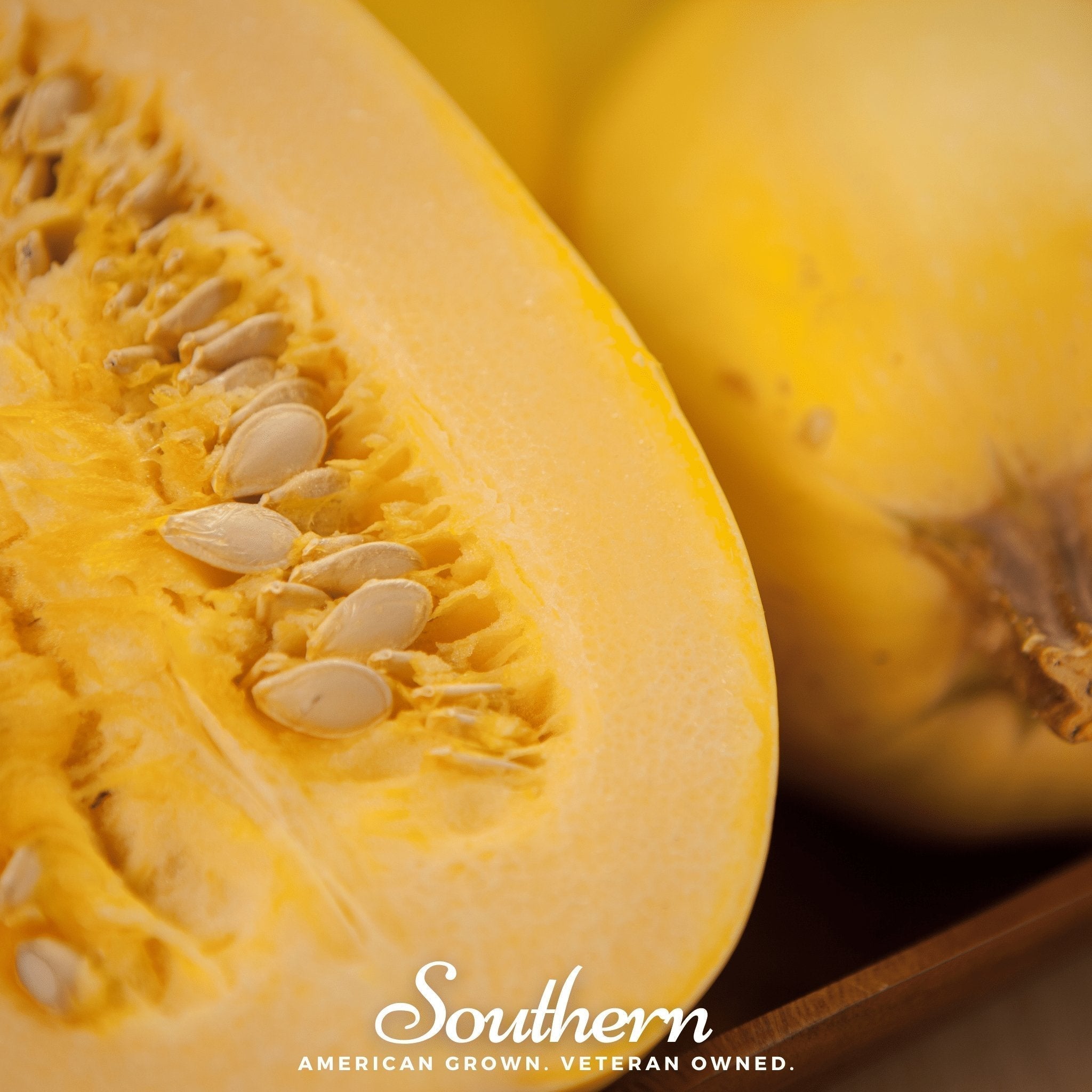 Spaghetti Winter Squash – 20 Seeds Southern Seeds